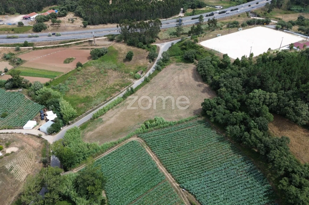 Terreno para Venda em Milharado Foto 9