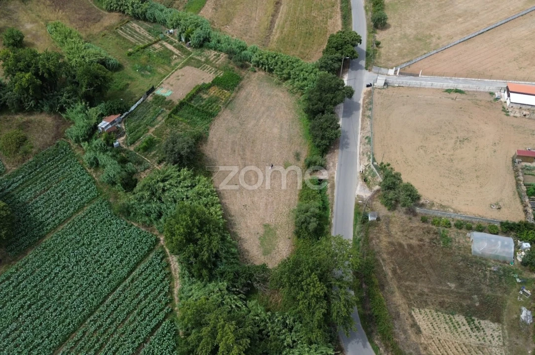 Terreno para Venda em Milharado Foto 5