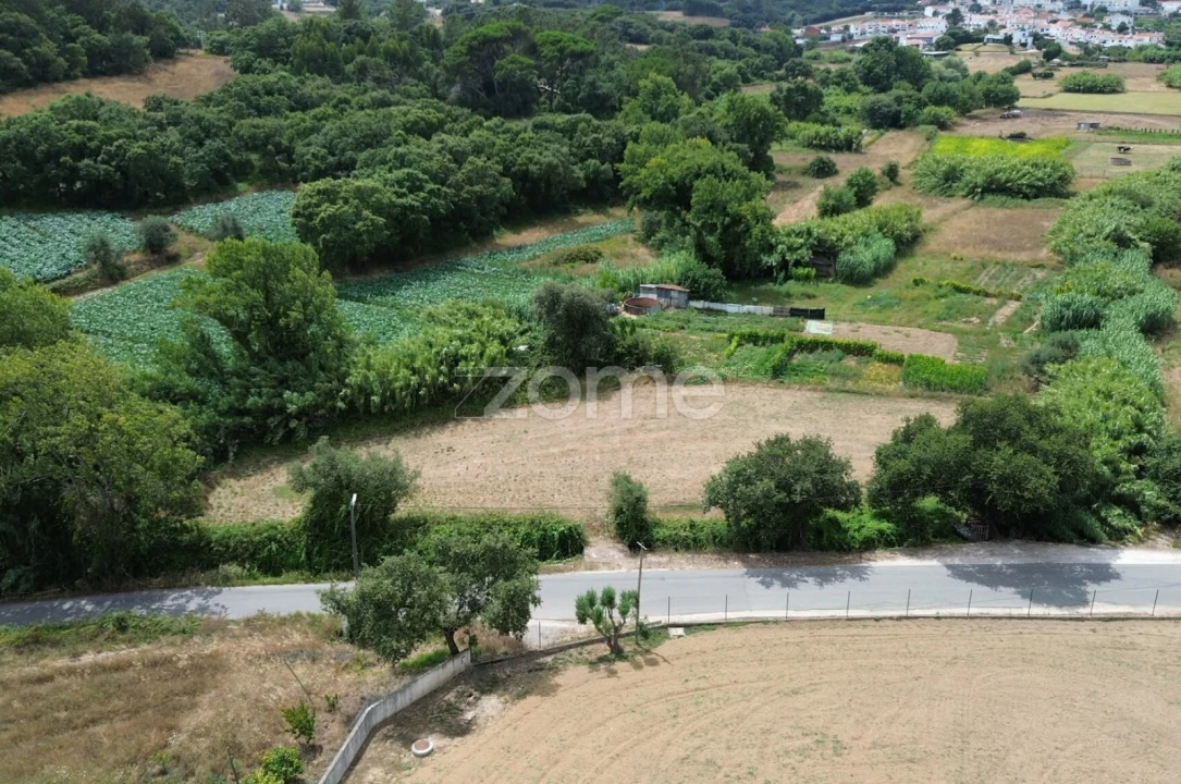 Terreno para Venda em Milharado Foto 6
