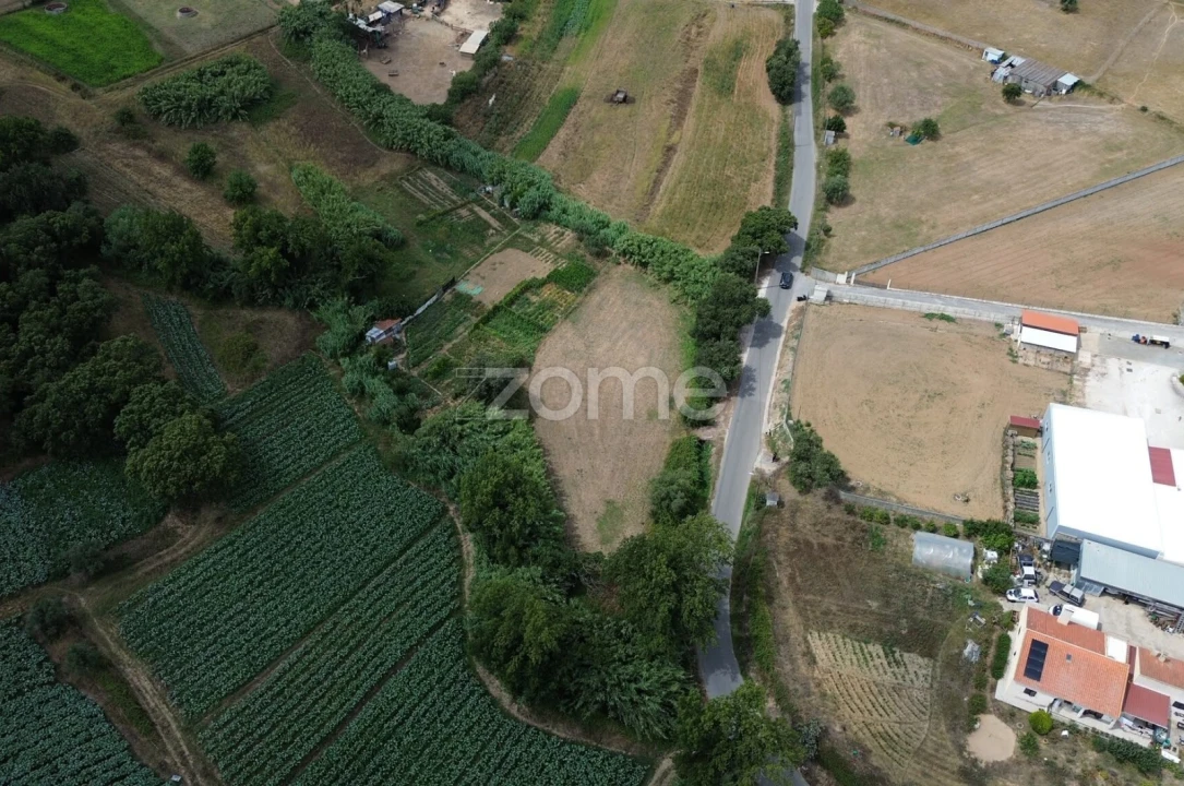 Terreno para Venda em Milharado Foto 8
