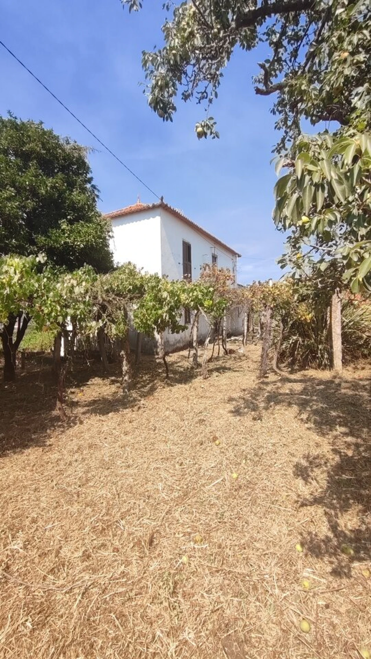 Moradia T3 para Venda em Prado e Remoães Foto 2