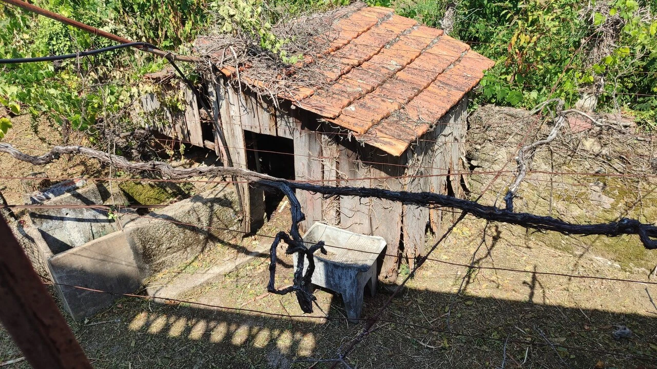 Moradia T3 para Venda em Prado e Remoães Foto 7