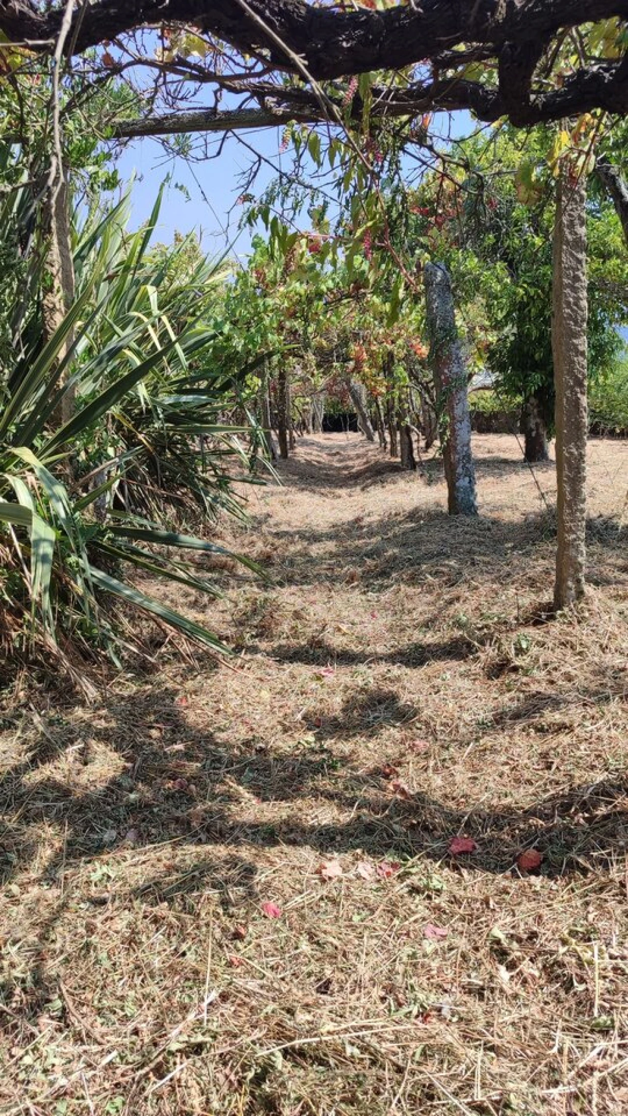 Moradia T3 para Venda em Prado e Remoães Foto 16