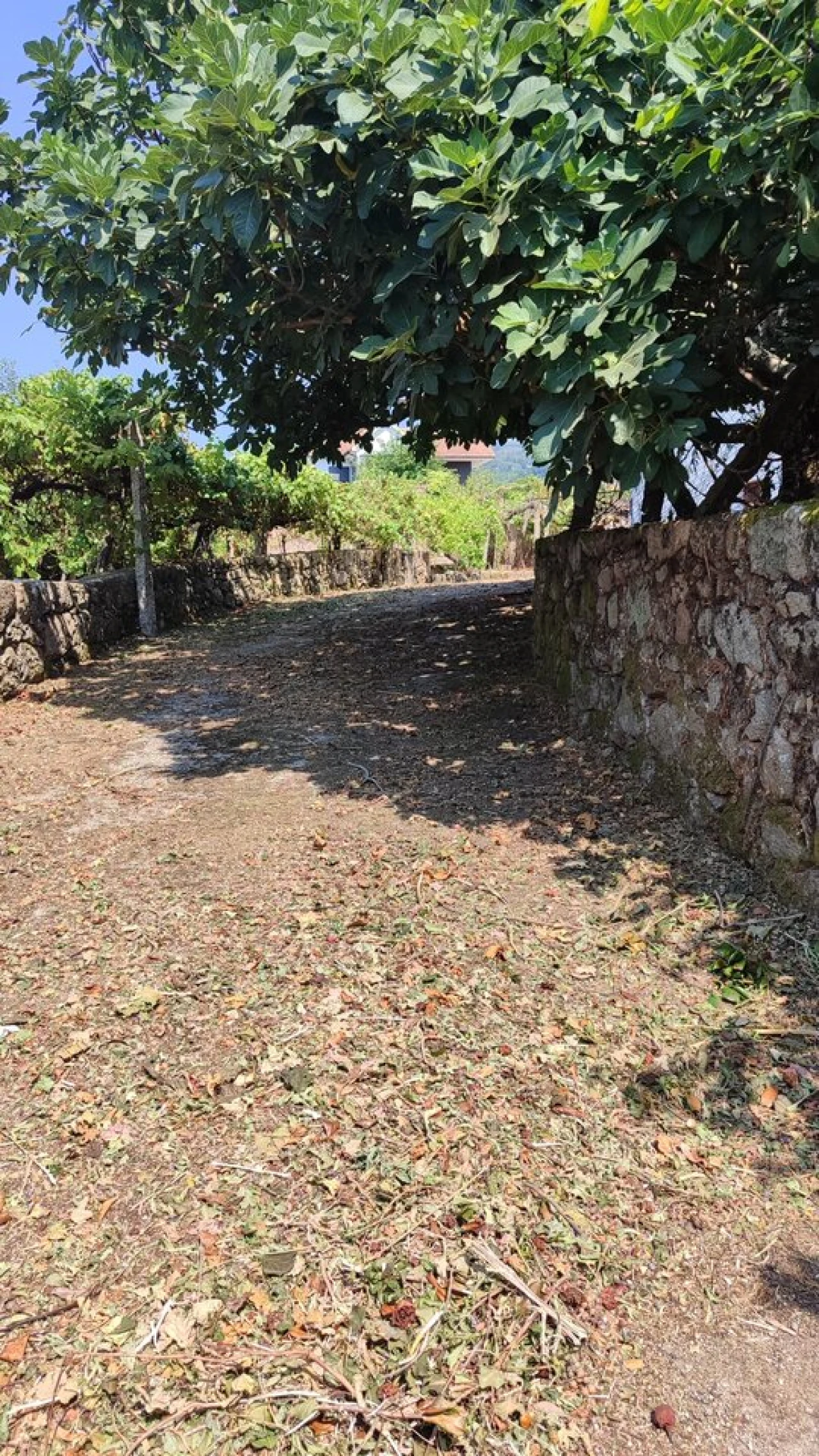 Moradia T3 para Venda em Prado e Remoães Foto 21
