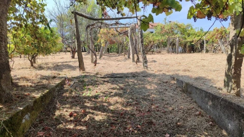 Moradia T3 para Venda em Prado e Remoães