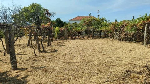 Moradia T3 para Venda em Prado e Remoães