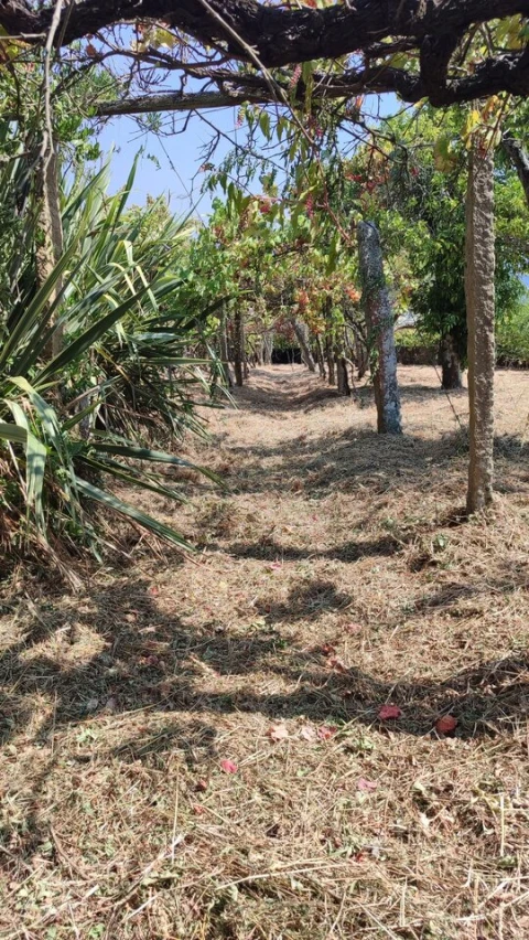 Moradia T3 para Venda em Prado e Remoães