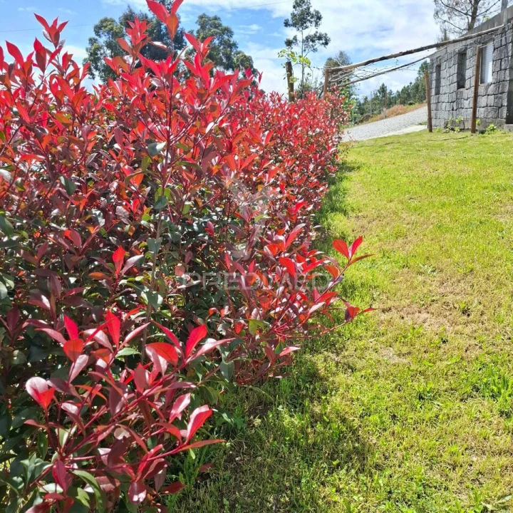 Quinta T3 para Venda em Grilo Foto 39