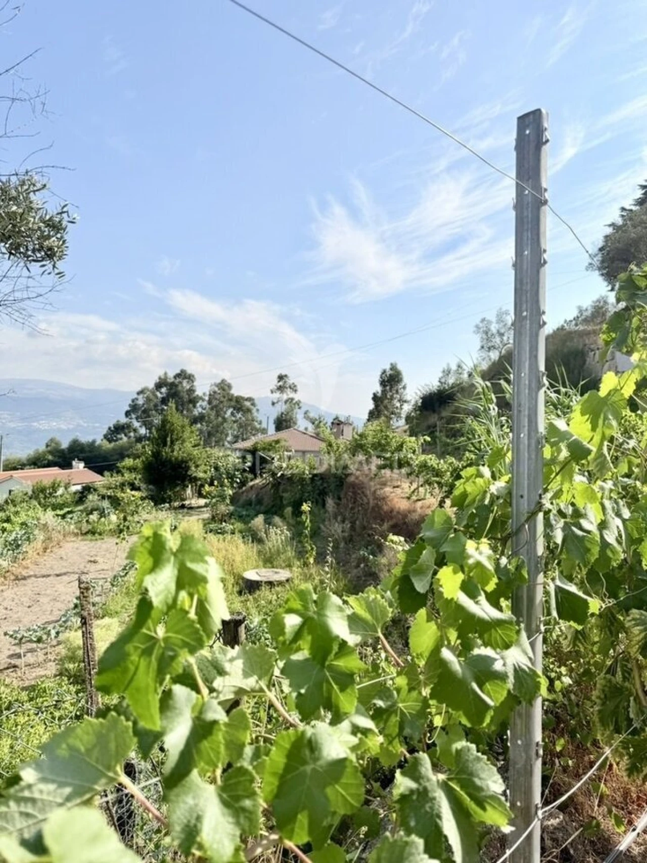 Quinta T3 para Venda em Grilo Foto 21