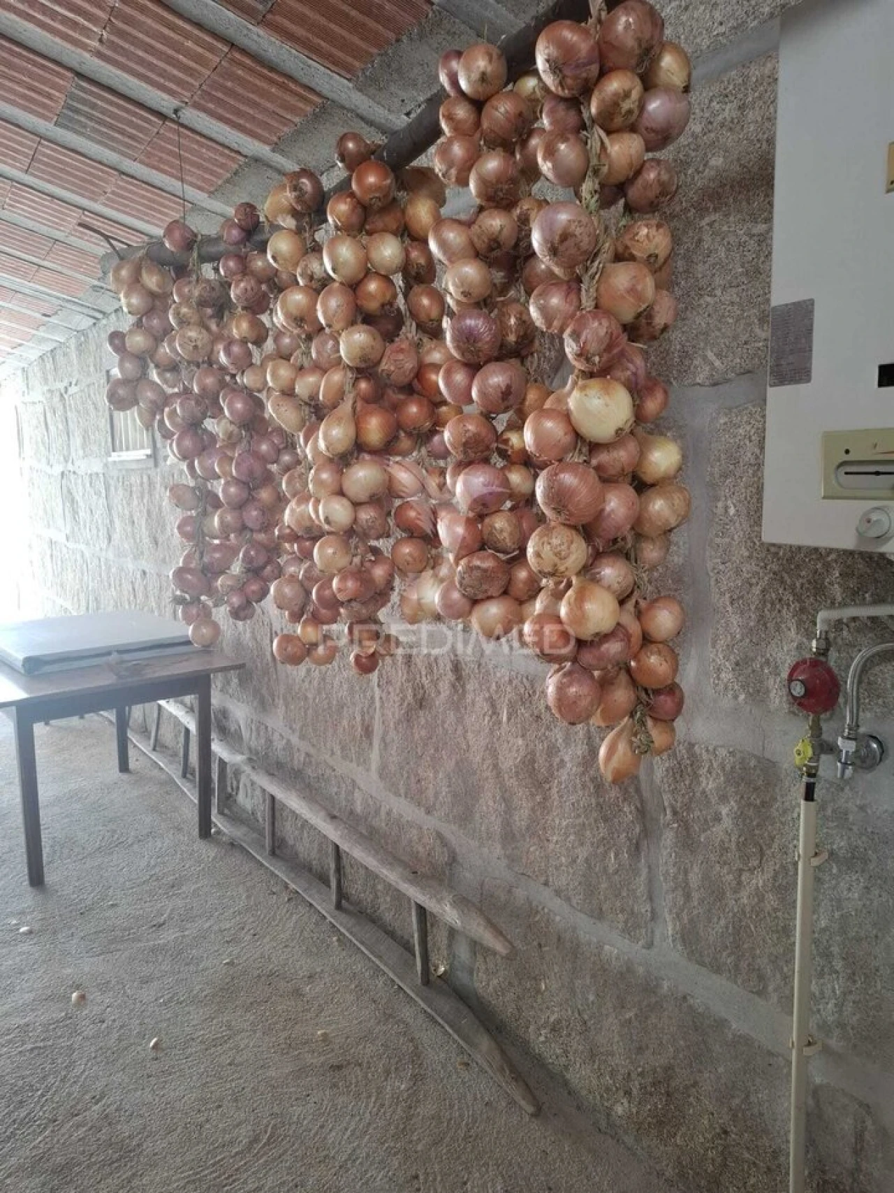 Quinta T3 para Venda em Grilo Foto 37