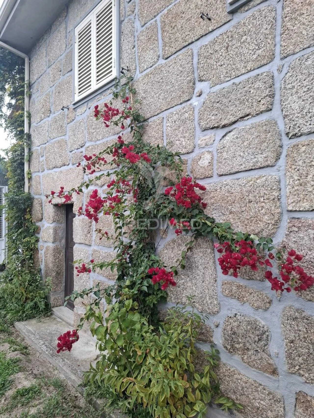 Quinta T3 para Venda em Grilo Foto 6