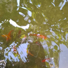 Quinta T3 para Venda em Grilo