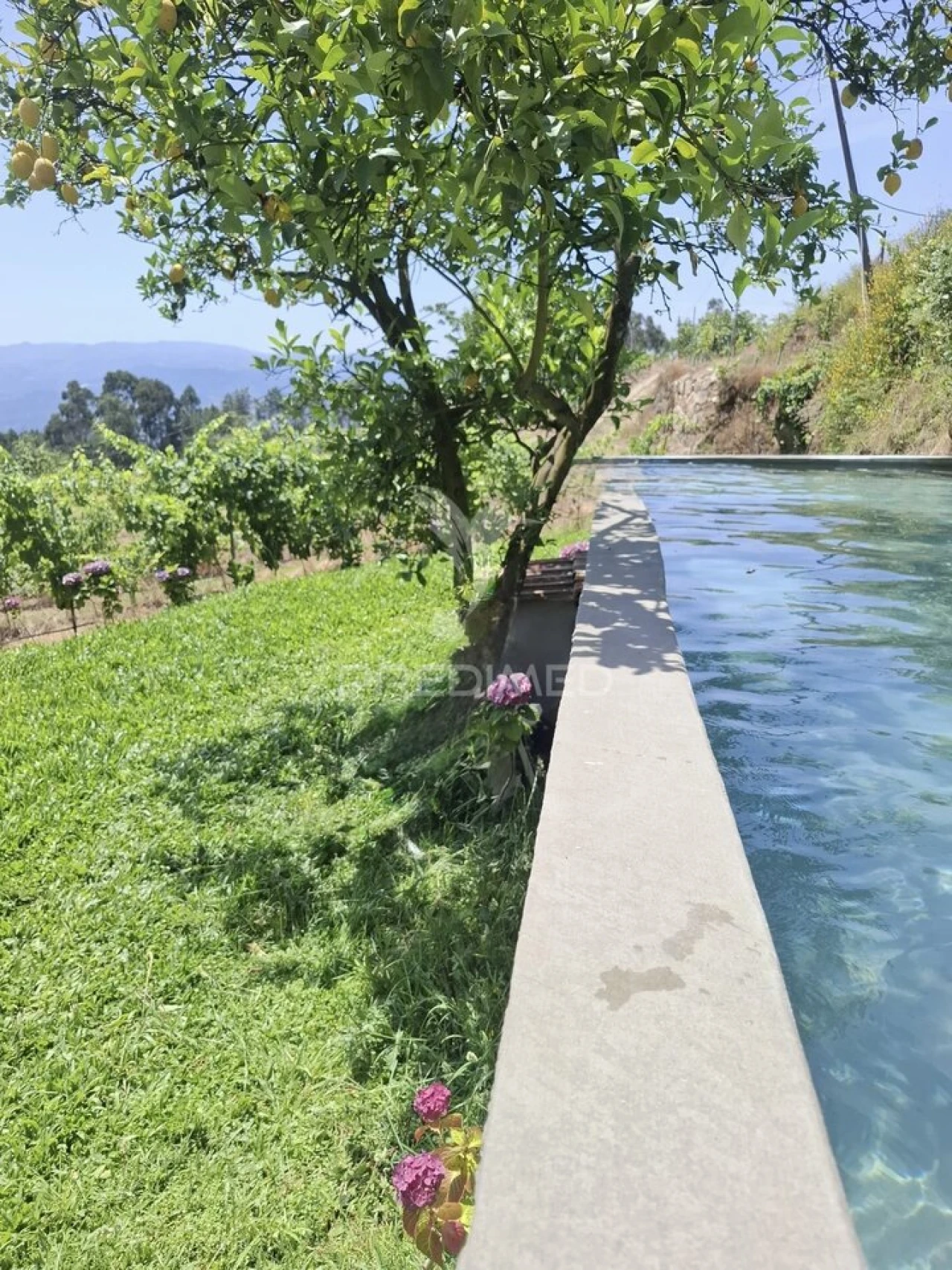 Quinta T3 para Venda em Grilo Foto 31