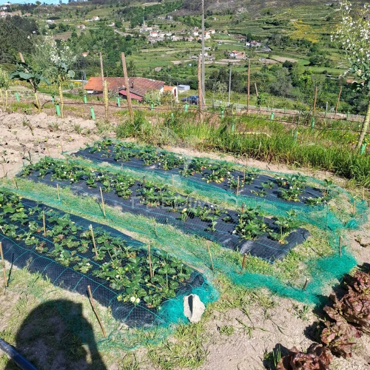 Quinta T3 para Venda em Grilo Foto 32