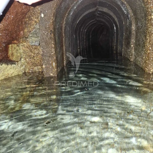 Quinta T3 para Venda em Grilo Foto 26