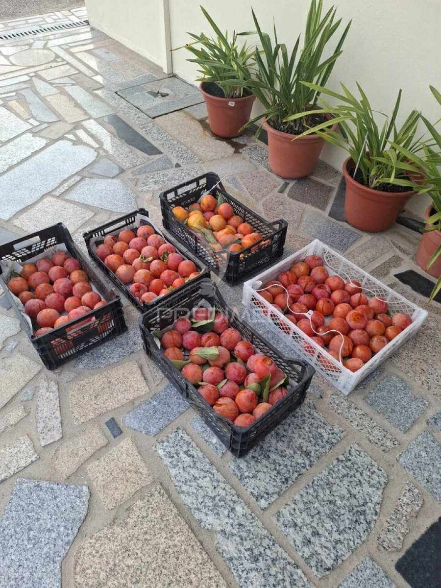 Quinta T3 para Venda em Grilo Foto 33