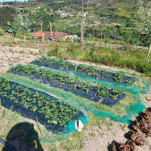 Quinta T3 para Venda em Grilo Foto 32