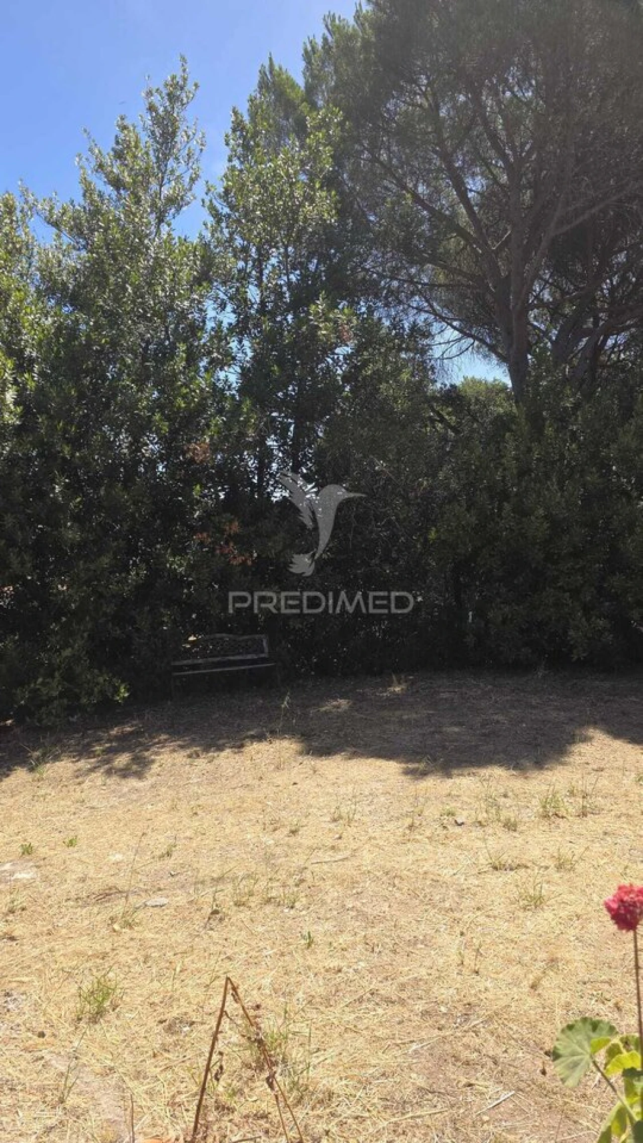 Moradia T2 para Venda em Malhou, Louriceira e Espinheiro Foto 30
