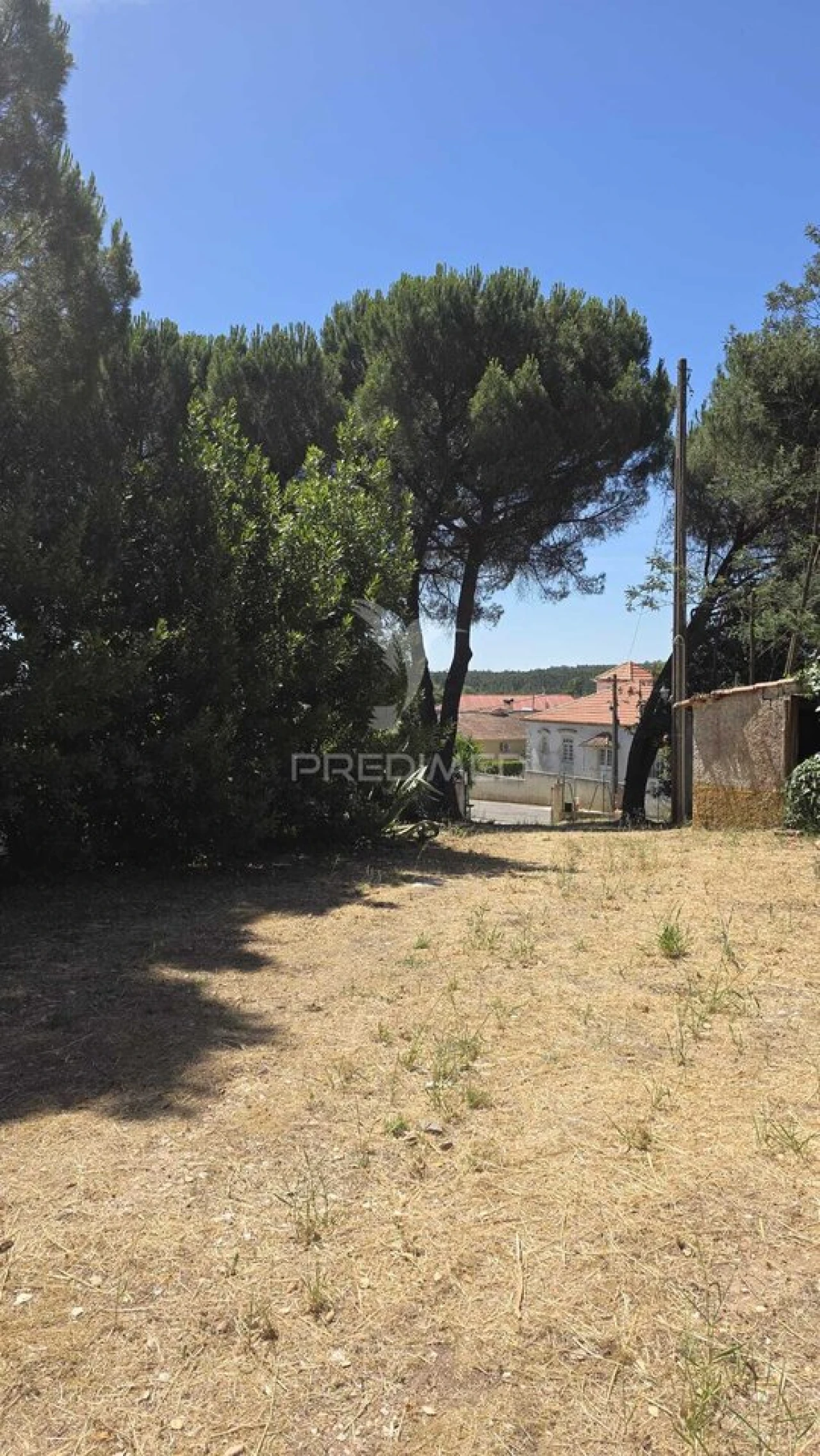 Moradia T2 para Venda em Malhou, Louriceira e Espinheiro Foto 32