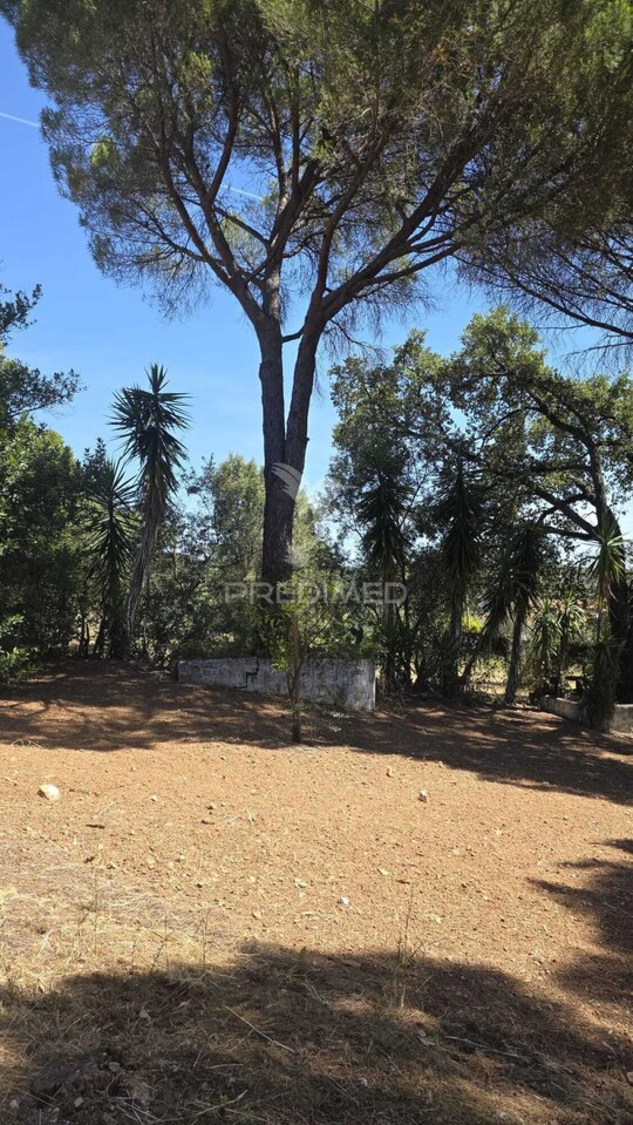 Moradia T2 para Venda em Malhou, Louriceira e Espinheiro Foto 34