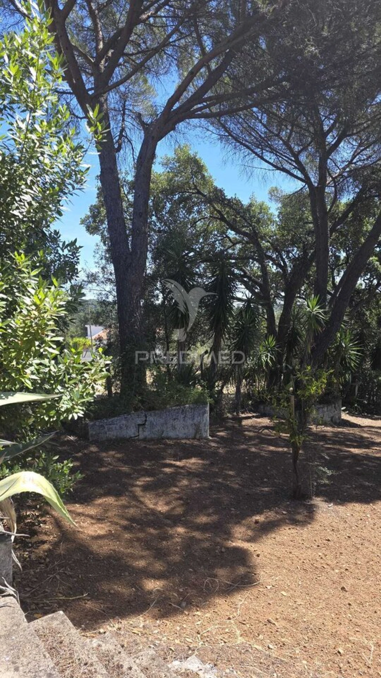 Moradia T2 para Venda em Malhou, Louriceira e Espinheiro Foto 33