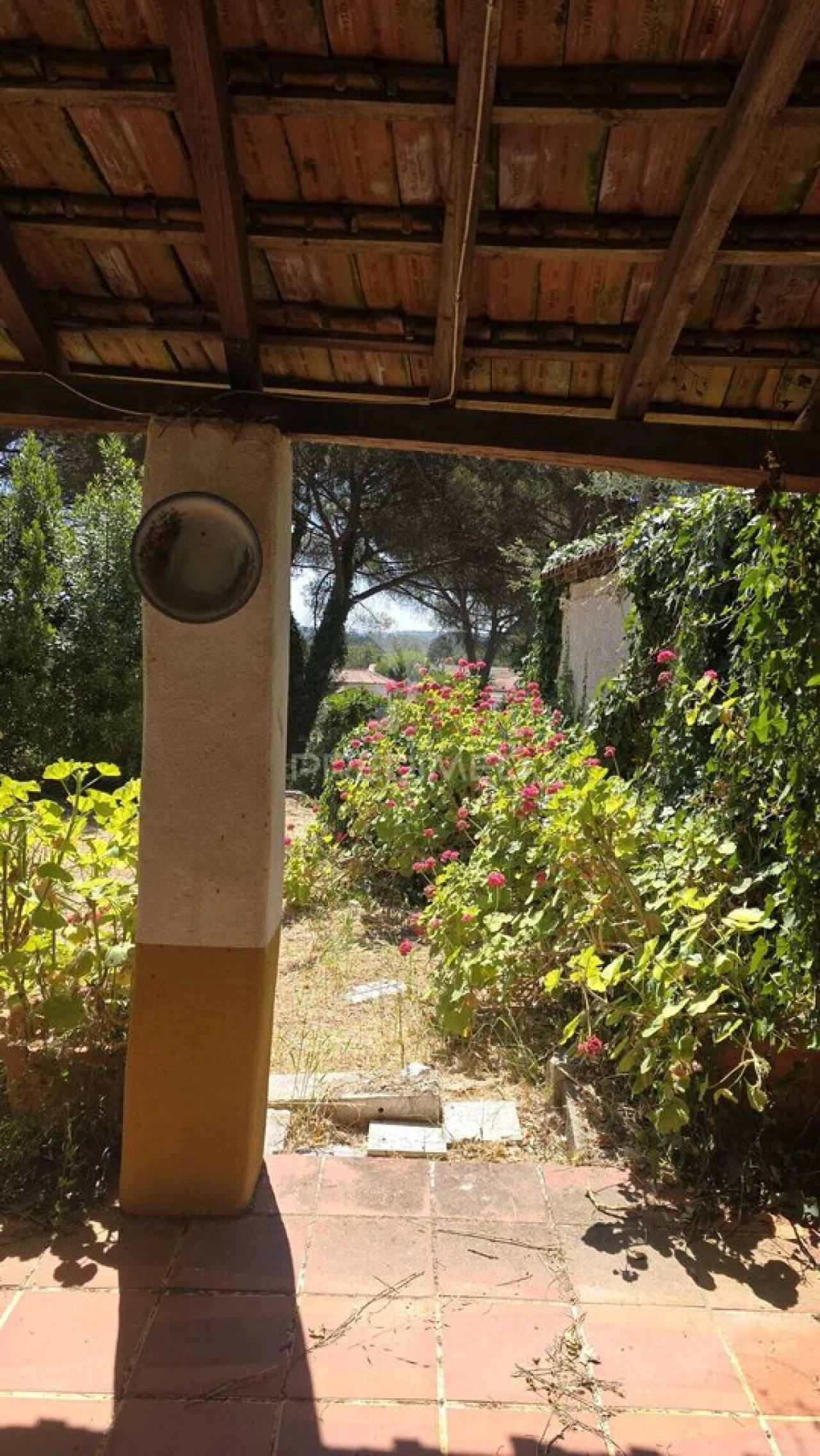 Moradia T2 para Venda em Malhou, Louriceira e Espinheiro Foto 10
