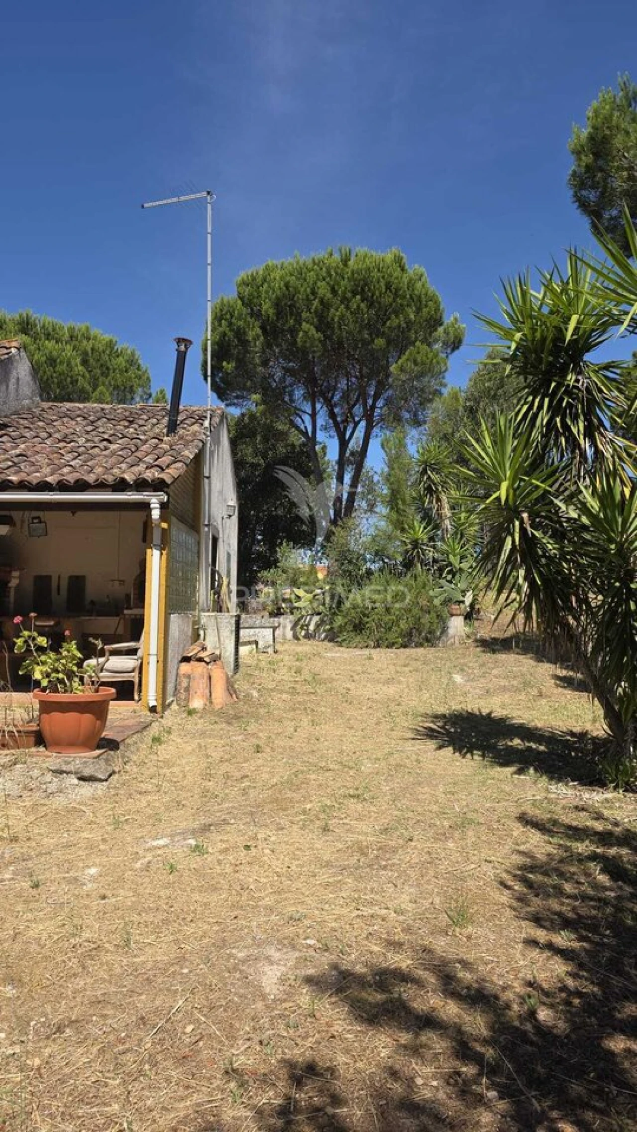 Moradia T2 para Venda em Malhou, Louriceira e Espinheiro Foto 11