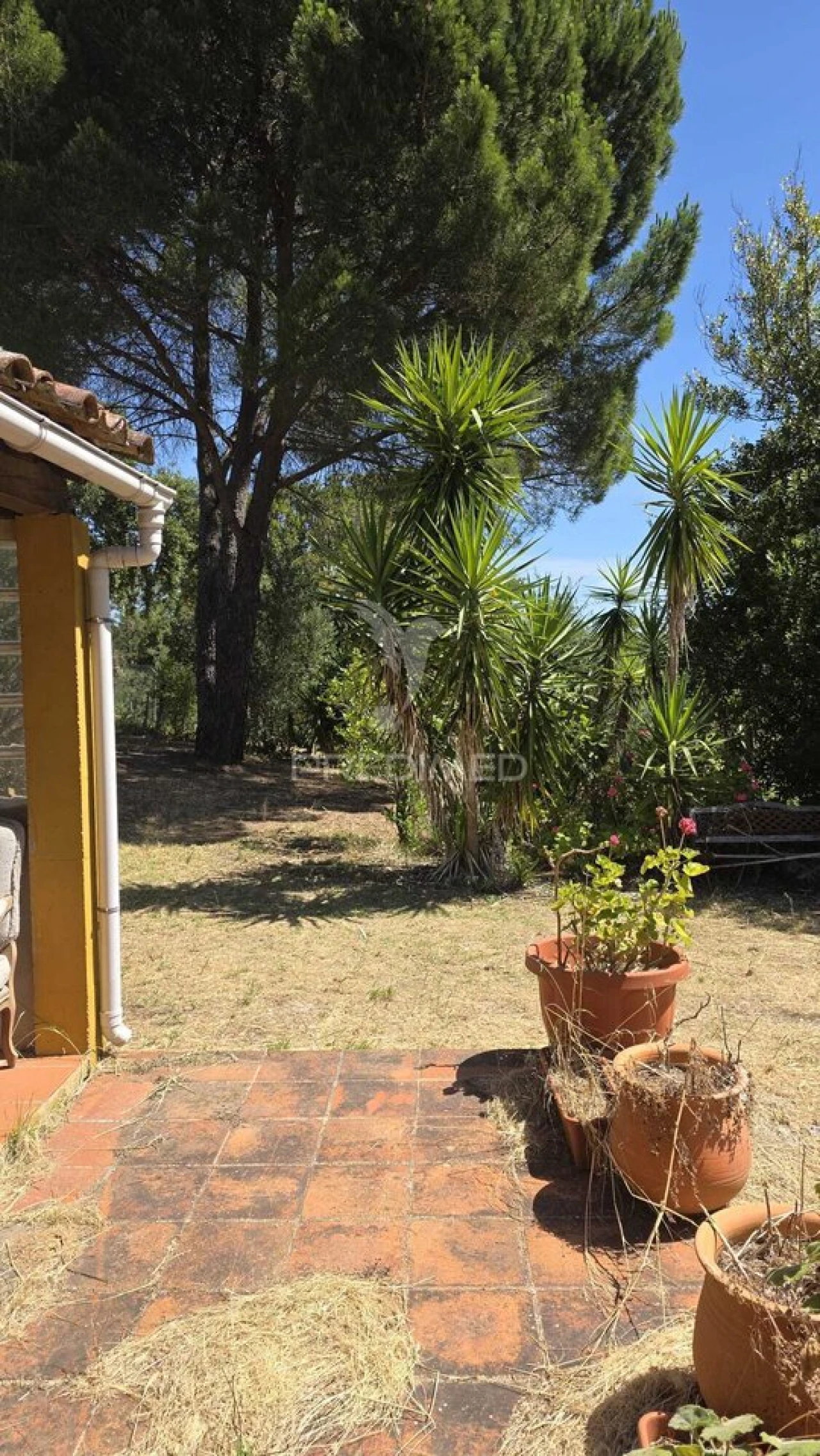 Moradia T2 para Venda em Malhou, Louriceira e Espinheiro Foto 8