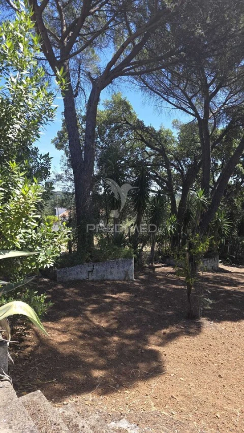 Moradia T2 para Venda em Malhou, Louriceira e Espinheiro