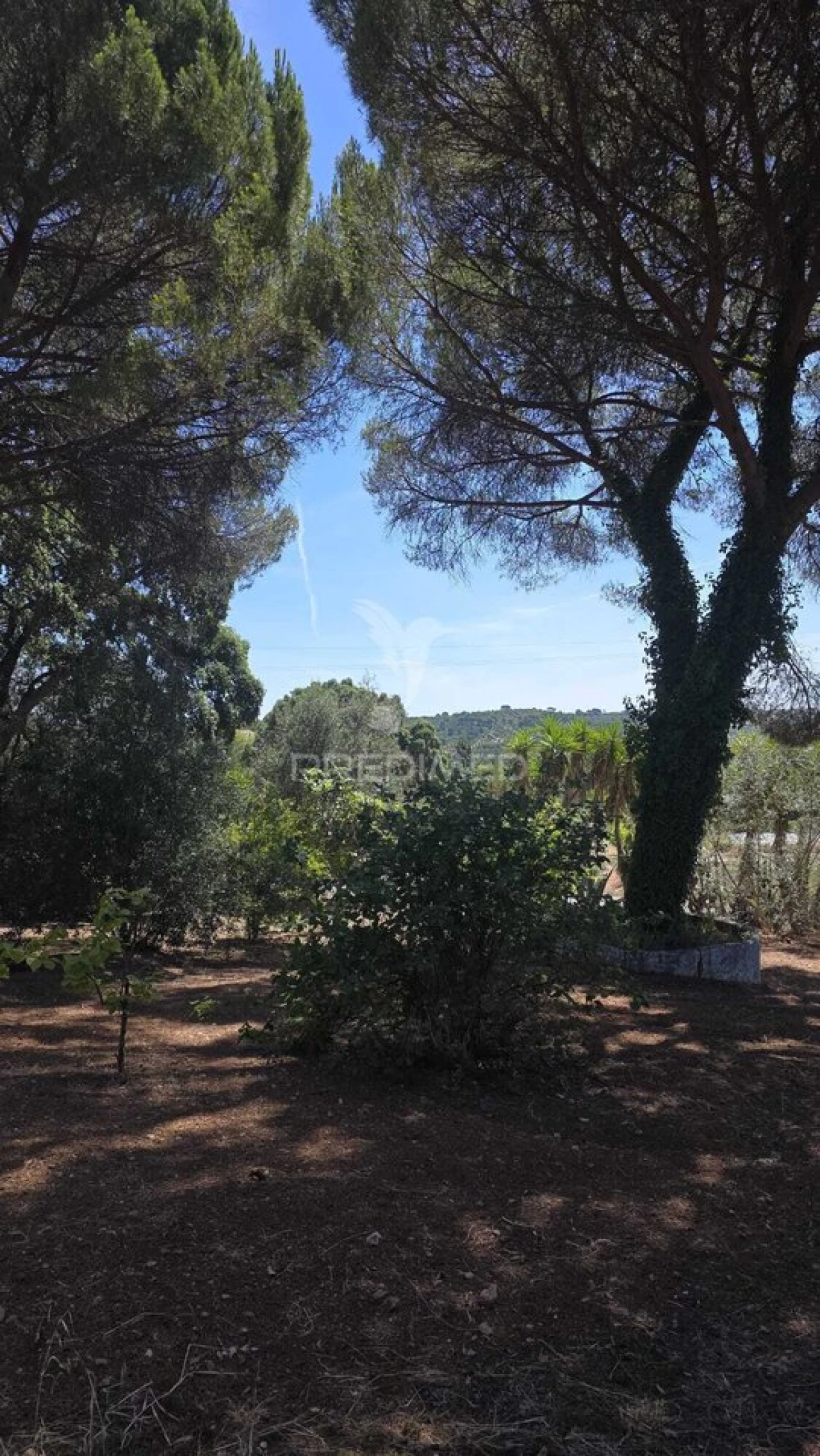 Moradia T2 para Venda em Malhou, Louriceira e Espinheiro Foto 28
