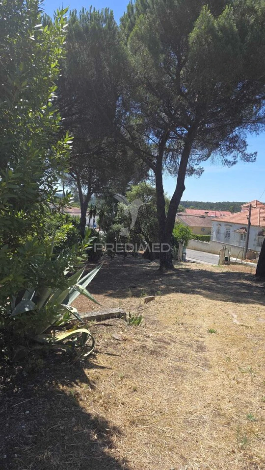 Moradia T2 para Venda em Malhou, Louriceira e Espinheiro Foto 37