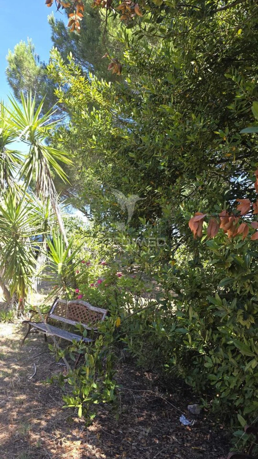 Moradia T2 para Venda em Malhou, Louriceira e Espinheiro Foto 39