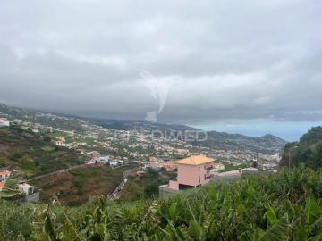 Terreno para Venda em Camara de Lobos
