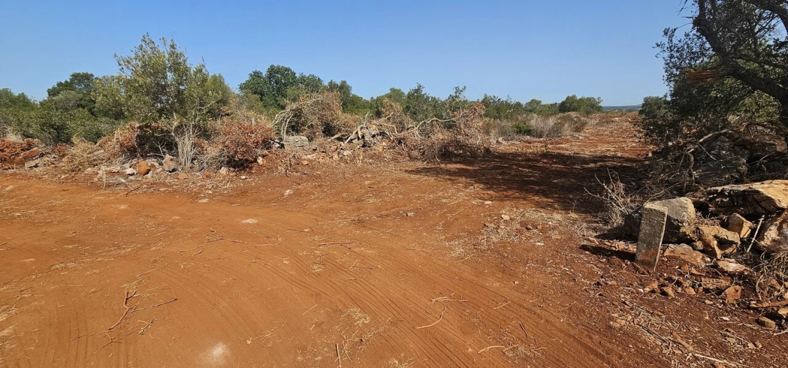 Terreno para Venda em São Bartolomeu de Messines Foto 1