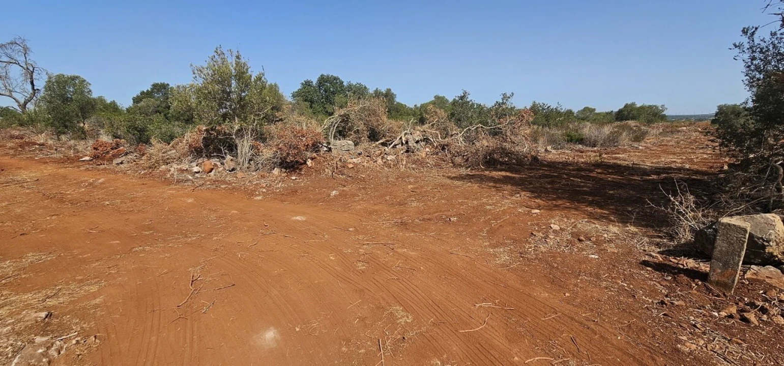 Terreno para Venda em São Bartolomeu de Messines Foto 2