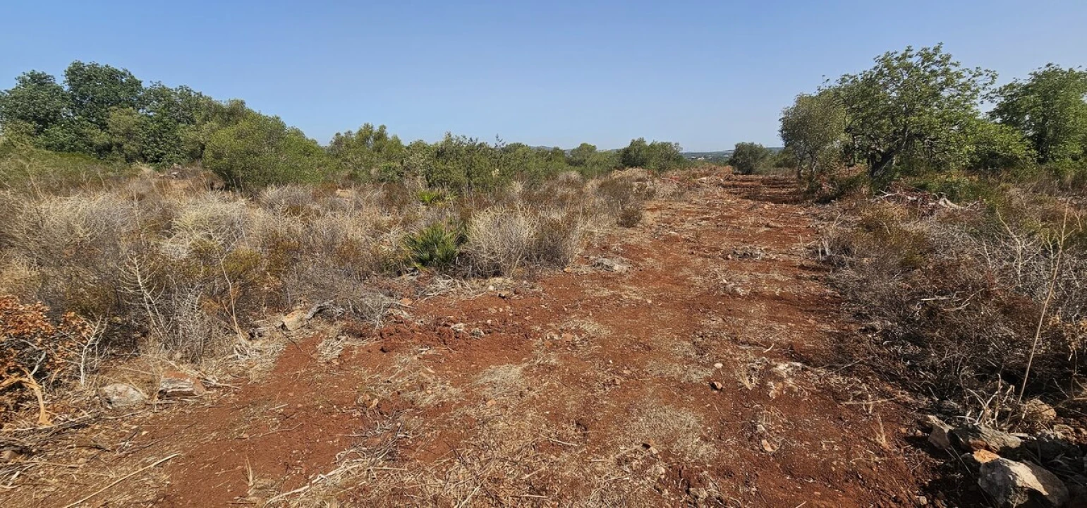Terreno para Venda em São Bartolomeu de Messines Foto 3