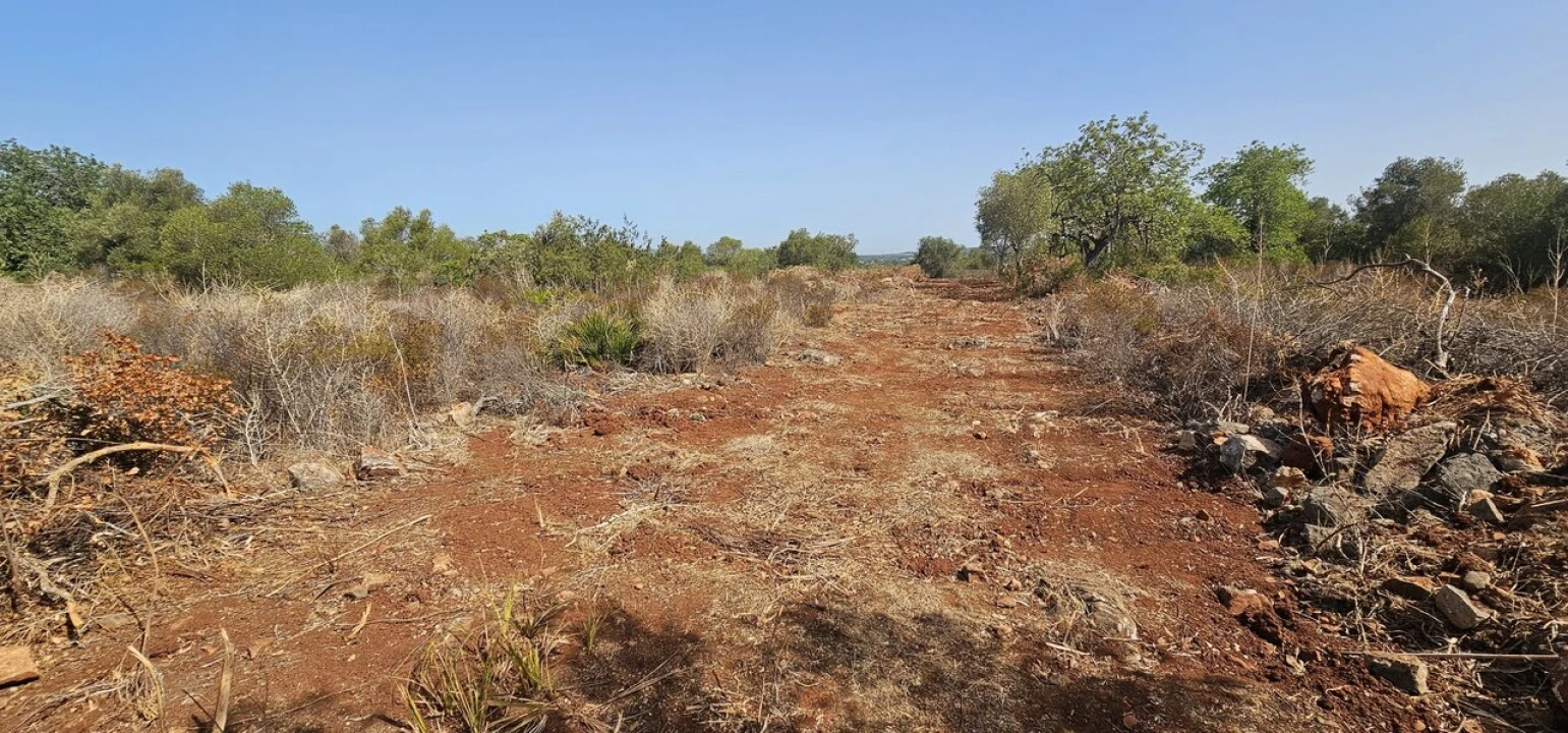 Terreno para Venda em São Bartolomeu de Messines Foto 4