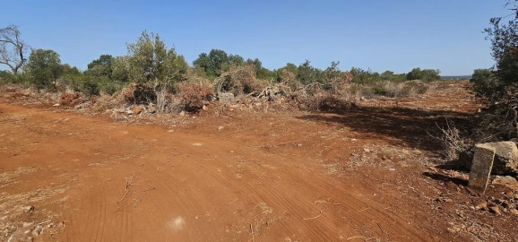 Terreno para Venda em São Bartolomeu de Messines