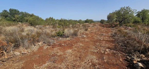 Terreno para Venda em São Bartolomeu de Messines