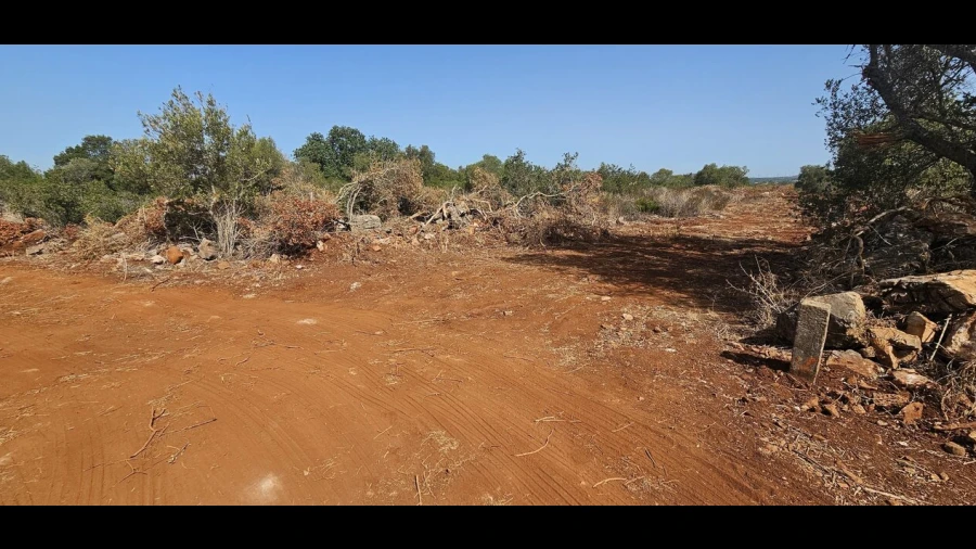 Terreno para Venda em São Bartolomeu de Messines