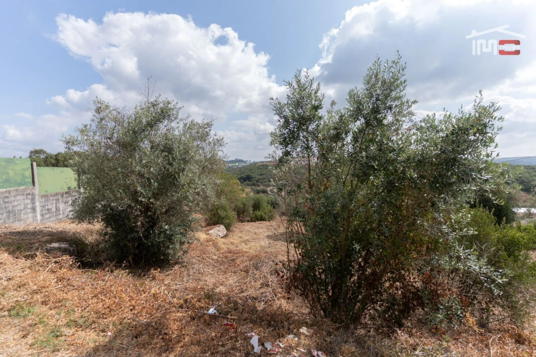 Terreno para Venda em Nossa Senhora das Misericordias Foto 5