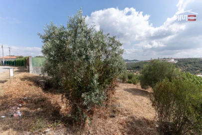 Terreno para Venda em Nossa Senhora das Misericordias