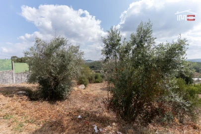 Terreno para Venda em Nossa Senhora das Misericordias