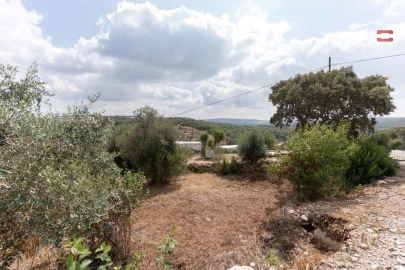 Terreno para Venda em Nossa Senhora das Misericordias