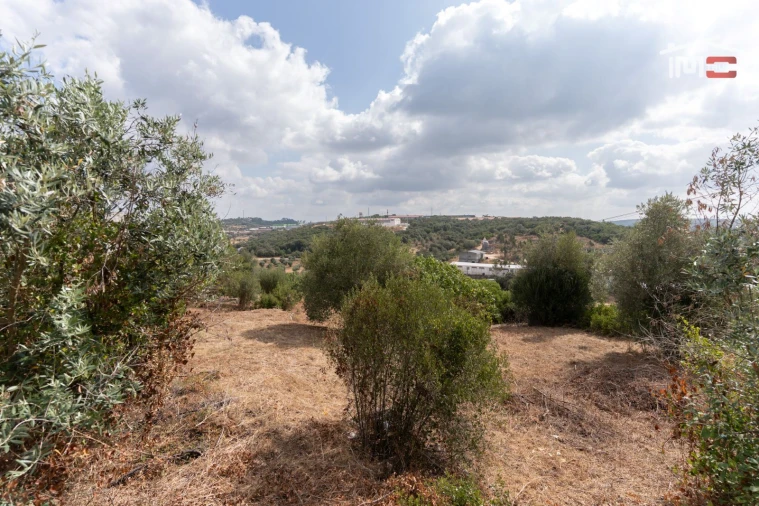 Terreno para Venda em Nossa Senhora das Misericordias Foto 3