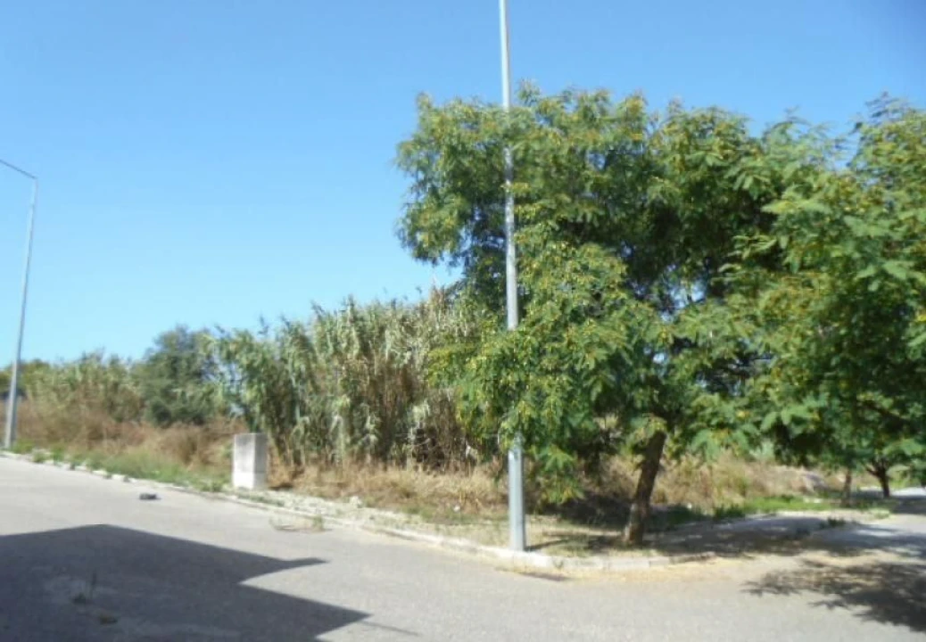 Terreno Misto para Venda em Buarcos Foto 4