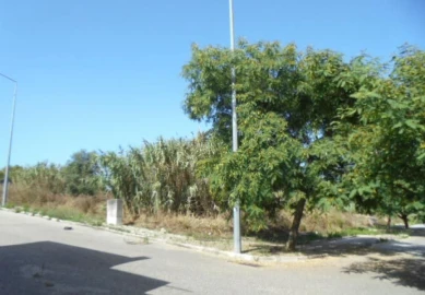 Terreno Misto para Venda em Buarcos