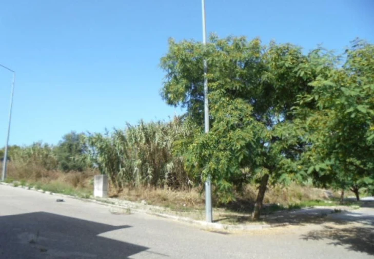 Terreno Misto para Venda em Buarcos Foto 4