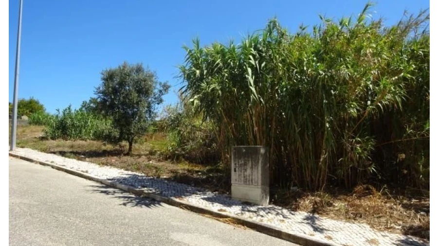 Terreno Misto para Venda em Buarcos