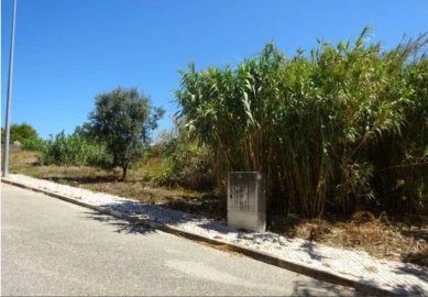 Terreno P/ Prédio para Venda em Taveiro, Ameal e Arzila